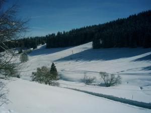 Ferienhaus Schwörer om vinteren + 3 billeder
