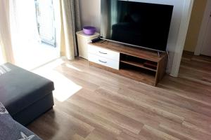 a living room with a flat screen tv and a wooden floor at Caesar resort 2 bedrooms Cornelius in Vrysoules +6 photos