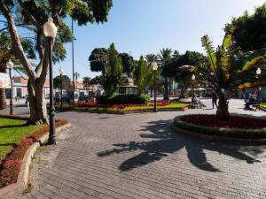Vonkajšia záhrada v ubytovaní Apartments Las Canteras Beach LM3