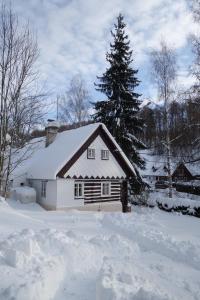 MausHaus v zimě