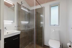a bathroom with a shower and a toilet and a sink at Charming Cottage In Fjellerup With Indoor Spa in Glesborg +11 photos