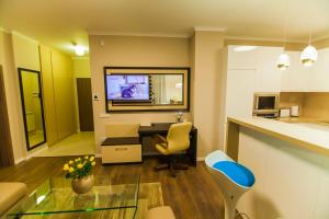 TV a/nebo společenská místnost v ubytování Cluj Business Class