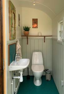 a bathroom with a toilet and a sink at Shepherd's Hut With Lake View In Ollerup in Vester-Skerninge