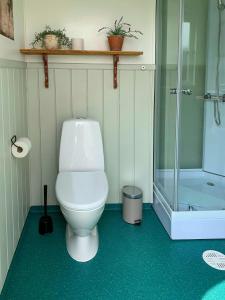 a bathroom with a toilet and a glass shower at Shepherd's Hut With Lake View In Ollerup in Vester-Skerninge