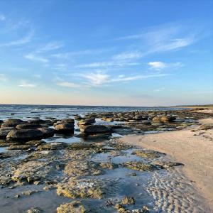 a beach with rocks and the ocean on a sunny day at Holiday Apartment In Peaceful Surroundings in Neksø