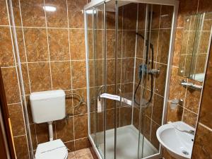 a bathroom with a shower and a toilet and a sink at Paradis in Buşteni