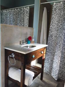 un baño con lavabo y ducha en La Antonia Elvira, en Los Reartes