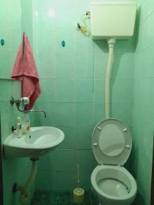 a bathroom with a toilet and a sink at Apartman Radoman in Cetinje +17 photos