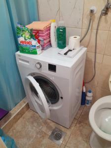 a washing machine in a bathroom next to a toilet at Apartman Radoman in Cetinje