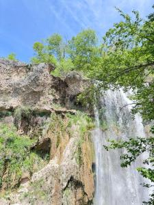 a waterfall on the side of a mountain with trees at Modern Homestay in Arslanbob +20 photos