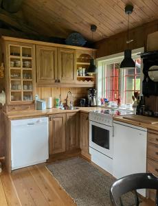 a kitchen with wooden cabinets and white appliances at Cabin With Rauland Mountain Views in Rauland