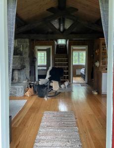 a living room with a couch and a fireplace at Cabin With Rauland Mountain Views in Rauland