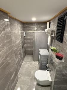 a bathroom with a toilet and a shower at aria plus ev otel in Çiftlikköy +67 photos