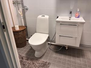 a bathroom with a white toilet and a sink at Koivukuja in Köyliö
