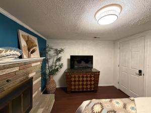 a living room with a television and a fireplace at The Oasis in Clinton