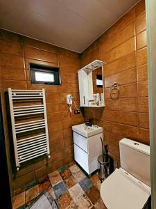 a bathroom with a toilet and a sink at Omenor Kazbegi in Kazbegi +17 photos