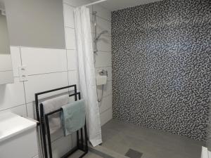 a bathroom with a shower and a shower curtain at JundJ Ferienwohnungen in Buzsák