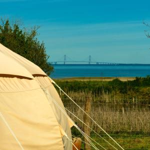aige tent in a field with a bridge in the background at Fyn Glamping in Nyborg