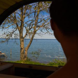 a person looking out a window at the water at Fyn Glamping in Nyborg