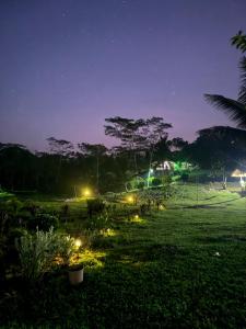 a garden at night with lights in the grass at Segar Farm and Campground in Biga-an
