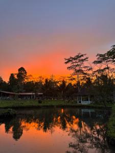 a sunset over a body of water with trees at Segar Farm and Campground in Biga-an