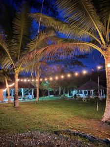 a group of palm trees in a park at night at Segar Farm and Campground in Biga-an