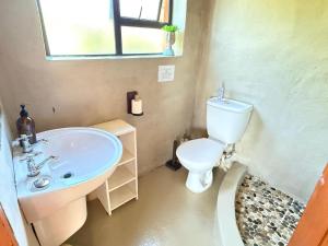 a small bathroom with a toilet and a sink at East River @ 21 in Kleinemonde