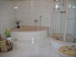 a bathroom with a tub and a shower and a toilet at Ferienwohnung Selkeblick in Falkenstein +14 photos