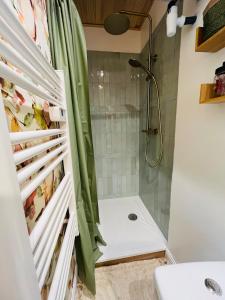 a bathroom with a shower with a shower curtain at La maisonnette au bord de l eau in Grimaucourt-près-Sampigny +18 photos