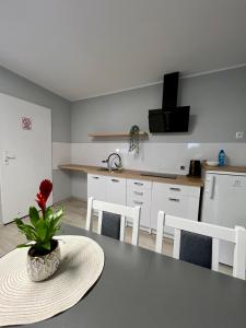 a kitchen with a table with a plant on it at Apartamenty Adabet in Kępno +8 photos