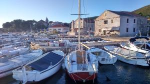a group of boats are docked in a harbor at Apartment Marijo in Ist