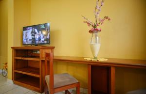 a vase of flowers on a wooden table with a television at Hotel Lilian in Puerto Iguazú