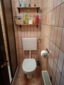 a small bathroom with a toilet and shelves on the wall at Rooms Jagoda I Cozy Alpine Stay Near Bled in Blejska Dobrava