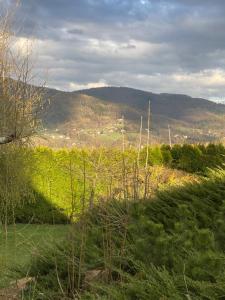 a view of a field of grass with mountains in the background at Dom lub apartamenty z widokiem na góry Wichrowe Wzgórza z basenem Brenna in Ustroń +170 photos