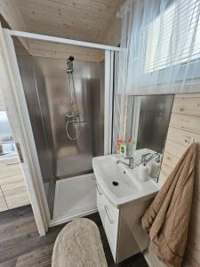 a bathroom with a shower and a sink at Chalupa u Rádlů in Domažlice +45 photos
