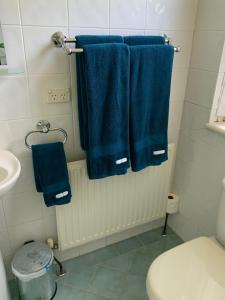 a bathroom with blue towels hanging on a rack at Hillside Cottage Berrima in Berrima