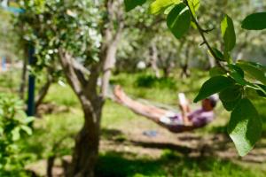 a person laying in a hammock in a tree at Domizil Lina Art in Güzelçamlı