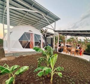 a tent in a yard with plants and a table at CAELO | Peaceful Mountain View Rive in Pililla