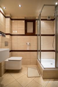 コシチェリスコにあるSentymentalne Kościelisko Apartament & SPAのバスルーム(シャワー、トイレ、シンク付)