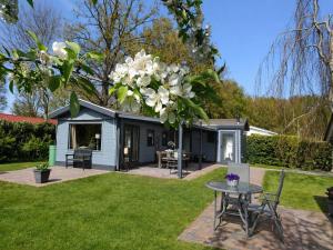 a house with a table and chairs in a yard at Vechtdal Chalet de Wilg in Rheezerveen