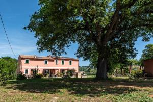 a large tree in front of a house at All'ombra della quercia in Fano