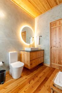 a bathroom with a toilet and a sink and a mirror at Casa da Faia in São Roque do Pico +47 photos