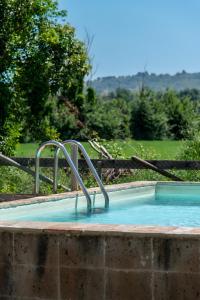 a plunge pool with a metal handrail in a yard at All'ombra della quercia in Fano