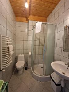 a bathroom with a shower and a toilet and a sink at Pokoje Gościnne u Laskowskich in Smerek +33 photos