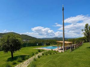 a swimming pool in a grassy field with a tree at Tenuta di Valmarino - Adults only in Corciano +39 photos