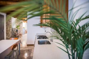 a kitchen with a sink and a counter with a plant at Borgo Molina in Faggeto Lario 