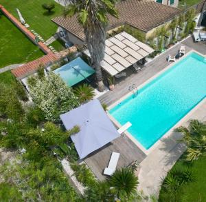 an overhead view of a swimming pool with a palm tree at The Bamboo villa in Casale la Cogna