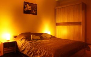 シュチェチンにあるApartament Luxusのベッドルーム1室(ベッド1台、ライト2つ付)