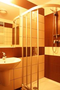 シュチェチンにあるApartament Luxusのバスルーム(シャワー、シンク付)