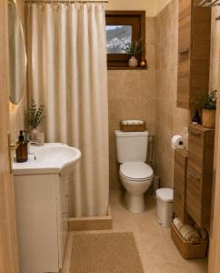 a bathroom with a toilet sink and a shower curtain at Casa Polyxeni -Elegant Stay in Vathi in Samos